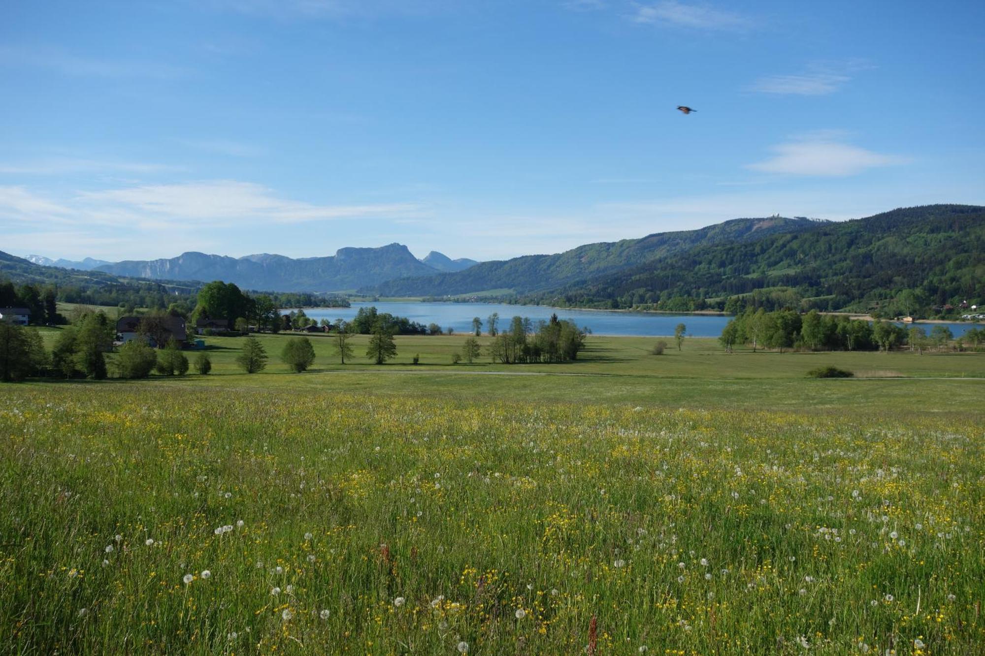 Sunnhof Villa Oberhofen am Irrsee Kültér fotó